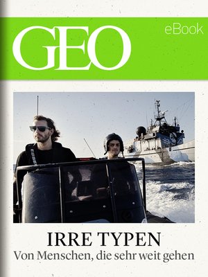 cover image of Irre Typen
